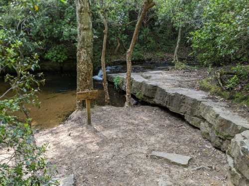 A serene natural setting with a rocky path, trees, and a small stream, featuring a wooden sign nearby.