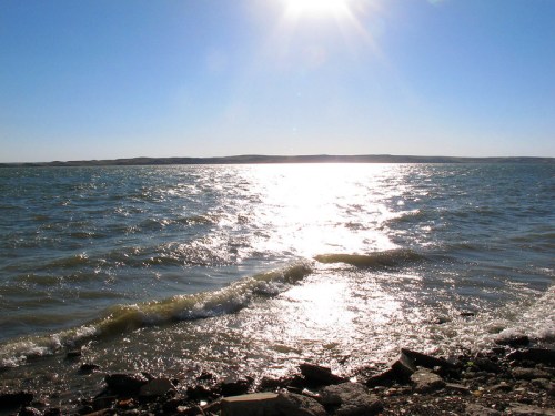 A sunlit shoreline with gentle waves reflecting sunlight on a calm body of water under a clear blue sky.
