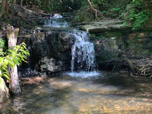 A serene waterfall cascades over rocks into a clear pool, surrounded by lush greenery in a tranquil forest setting.