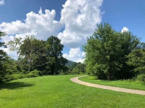 A winding path through a lush green park, surrounded by trees and under a bright blue sky with fluffy clouds.