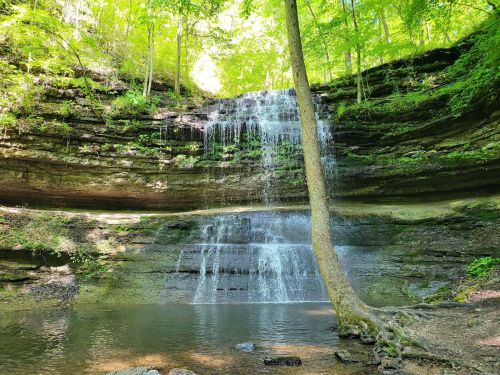 A serene waterfall cascades over rocky cliffs, surrounded by lush green trees and a calm pool below.