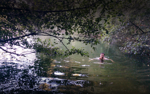 A person swimming in a calm, green-tinted body of water surrounded by trees and foliage.