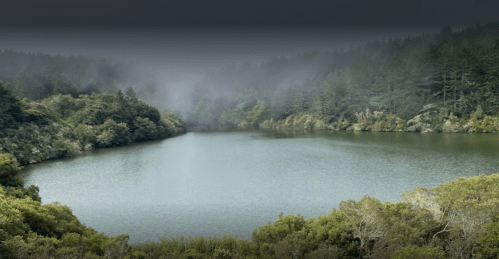 A serene lake surrounded by lush greenery and misty hills, creating a tranquil natural landscape.