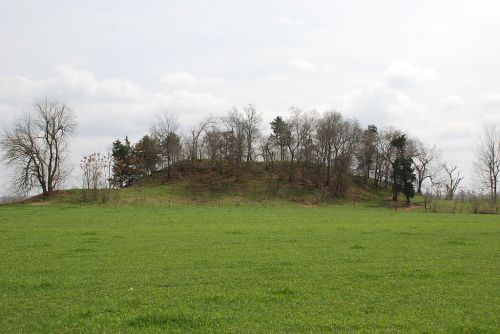 A grassy field with a small, tree-covered hill in the background under a cloudy sky.