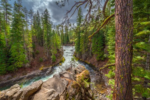 A scenic view of a river flowing through a forest, surrounded by tall green trees and rocky terrain under a cloudy sky.