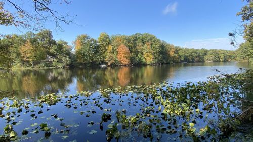 A serene lake surrounded by trees with autumn foliage, reflecting blue skies and fluffy clouds.