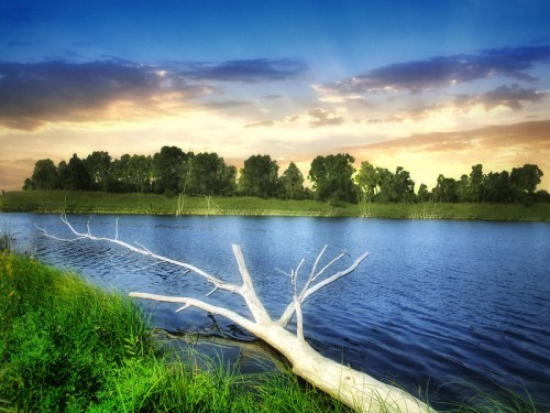 A serene river scene at sunset, featuring a fallen tree branch and lush greenery along the water's edge.