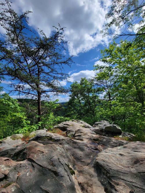 A rocky outcrop surrounded by lush green trees under a bright blue sky with fluffy white clouds.