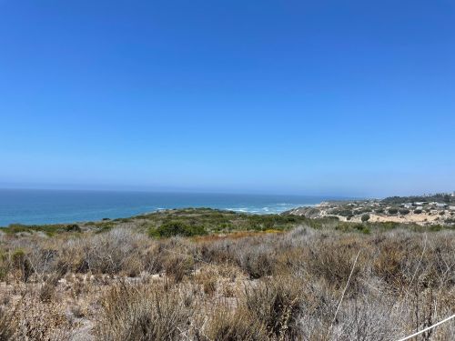 A coastal landscape with dry vegetation, blue ocean, and clear sky in the background.