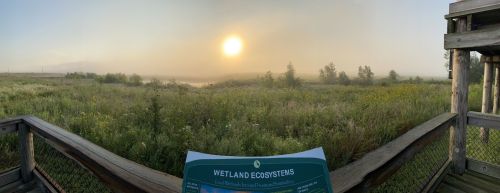 A misty sunrise over a wetland, with a sign about wetland ecosystems in the foreground.