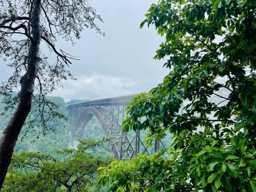 A large metal bridge spans a lush green valley, framed by trees and shrouded in misty clouds.