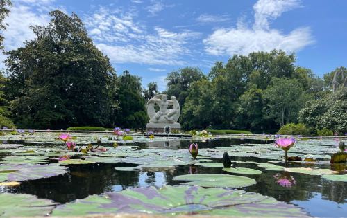 A serene pond with lily pads and pink flowers, featuring a sculpture surrounded by lush greenery under a blue sky.