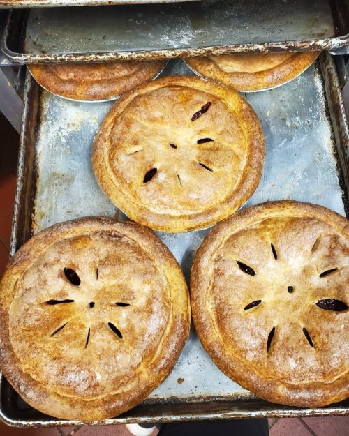 Four freshly baked pies on a metal tray, with golden-brown crusts and decorative slits on top.
