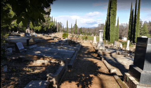 A serene cemetery with tall cypress trees, gravestones, and a peaceful landscape under a clear sky.