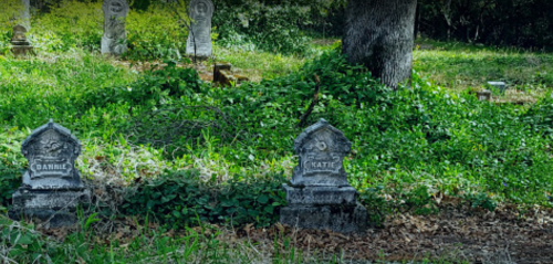 Two weathered gravestones, one marked "Daniel" and the other "Katie," surrounded by overgrown grass and trees.