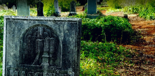 A weathered gravestone in a lush, overgrown cemetery, surrounded by trees and other gravestones in the background.