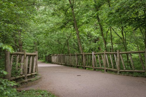 A serene pathway through a lush green forest, bordered by a wooden fence.