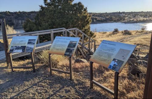 Three informational signs on metal stands near a lake, surrounded by grass and trees under a clear sky.