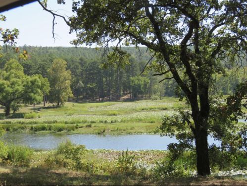 A serene landscape featuring a calm river, lush greenery, and trees under a clear sky.