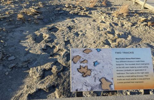 Fossilized dinosaur tracks in rocky terrain, with an informational sign about the tracks' origins and types.
