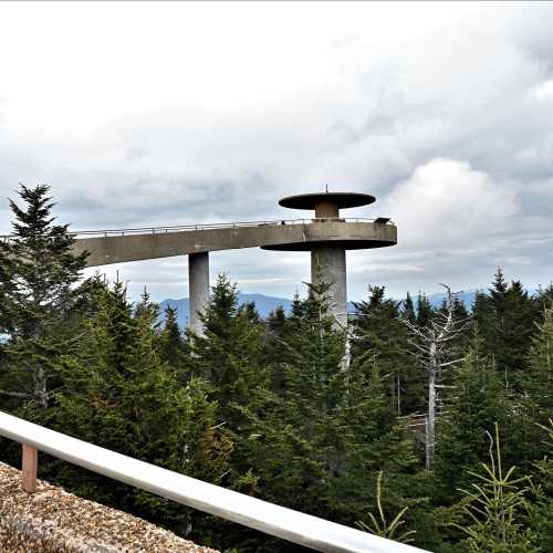 A modern observation deck surrounded by tall trees, offering a view of distant mountains and a cloudy sky.