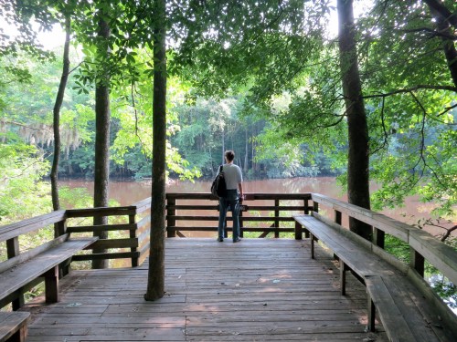 A person stands on a wooden deck overlooking a serene river, surrounded by lush green trees.