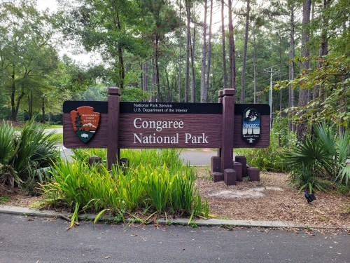 Sign for Congaree National Park, surrounded by greenery and trees, indicating the park's entrance.