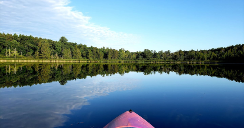 A serene lake reflects trees and a clear sky, viewed from the bow of a pink kayak.