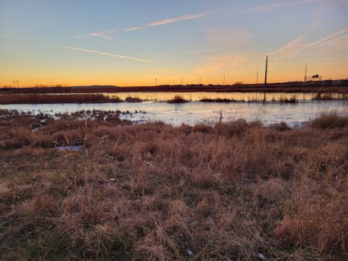 A serene landscape at sunset, featuring a calm water body surrounded by tall grass and distant hills.