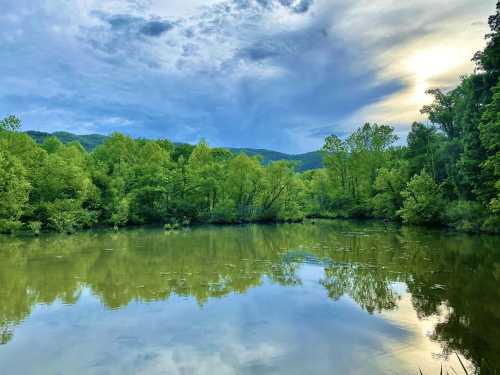 A serene river scene surrounded by lush green trees, reflecting the sky and mountains in calm waters.