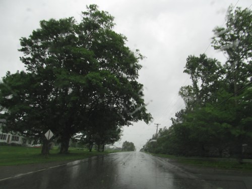 A rainy road scene with large trees lining the street, visibility reduced by raindrops on the windshield.