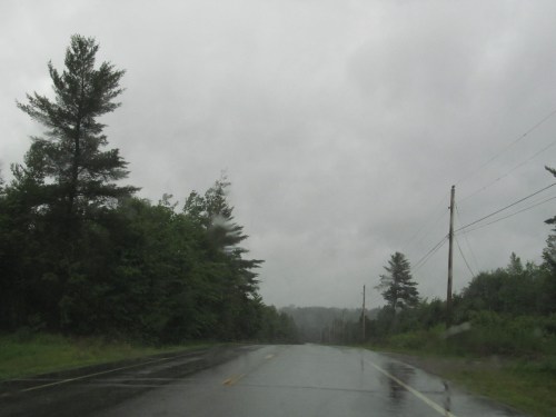 A rainy road scene with wet pavement, surrounded by trees and overcast skies.