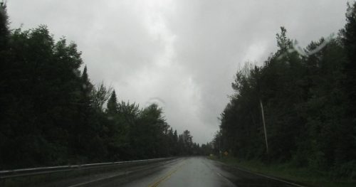 A wet, empty road stretches ahead under a cloudy, gray sky, flanked by dense green trees.
