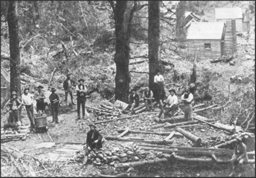 A historical black-and-white photo of a group of men working in a forested area with cabins in the background.