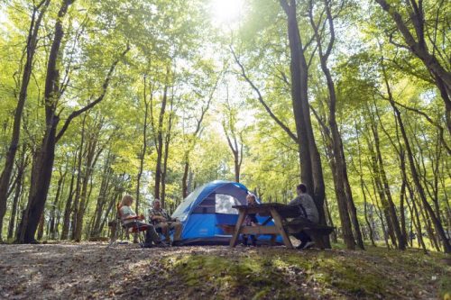 A group of people relaxes around a blue tent in a sunlit forest, sitting at a picnic table among trees.