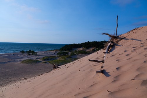A sandy dune slopes down to a calm beach and ocean, with green vegetation in the background under a clear blue sky.