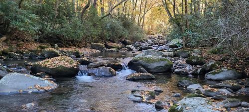 A serene stream flows through a rocky landscape, surrounded by trees with autumn foliage.