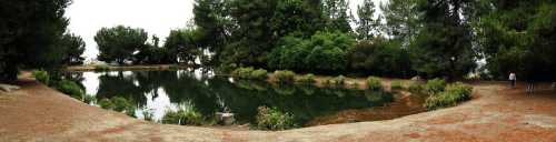 A serene pond surrounded by lush greenery and trees, with a path along the water's edge.