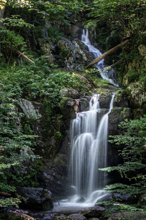 A serene waterfall cascading down rocky terrain, surrounded by lush green foliage and trees.