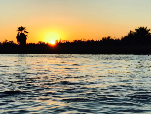 A serene sunset over calm water, with silhouettes of palm trees against a vibrant orange sky.