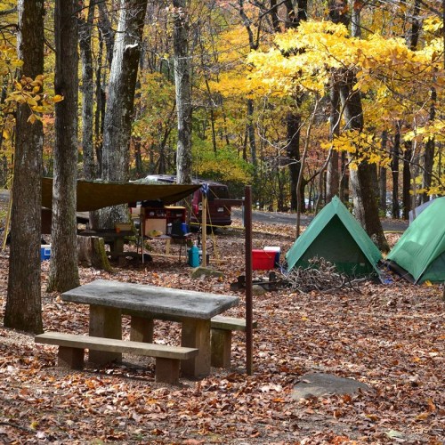 A campsite in autumn with colorful trees, a picnic table, tents, and a cooking area under a tarp.