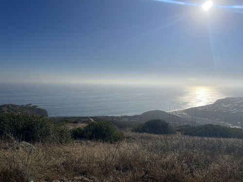 A serene coastal view with gentle waves, hazy sky, and sunlight reflecting on the water, surrounded by grassy hills.