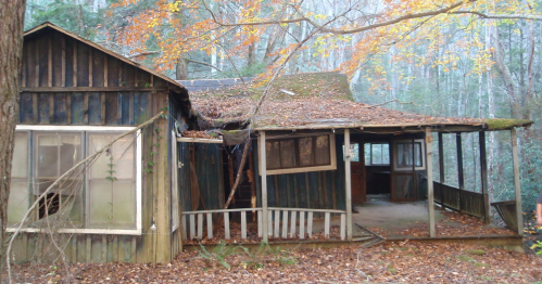 An abandoned, weathered cabin surrounded by trees, with a roof covered in leaves and a porch in disrepair.