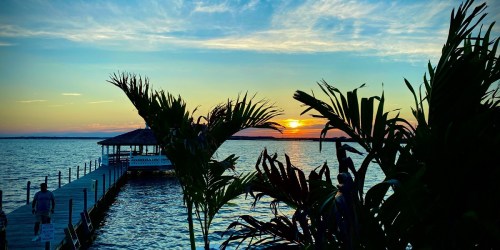 Sunset over a calm lake, with silhouetted palm leaves and a wooden pier leading to a gazebo in the distance.