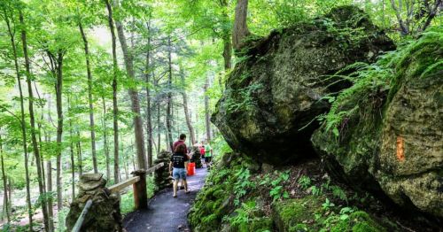 A scenic forest path with large rocks, lush greenery, and people walking along the trail.