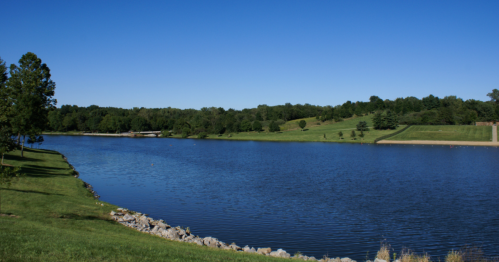 A serene lake surrounded by lush greenery and trees under a clear blue sky.