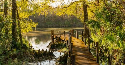 A wooden dock extends into a serene lake, surrounded by lush greenery and golden autumn leaves.