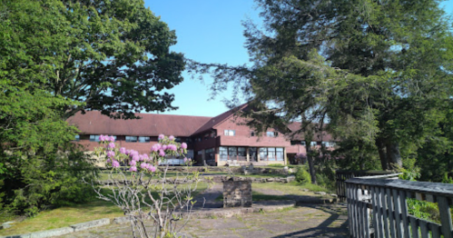 A rustic building surrounded by trees and blooming flowers under a clear blue sky.