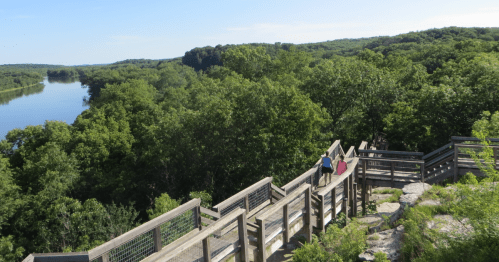 A scenic view of a wooden walkway winding through lush greenery, overlooking a calm river below.