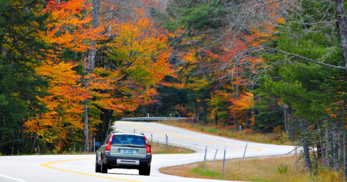 A car drives along a winding road surrounded by vibrant autumn foliage in shades of orange and yellow.